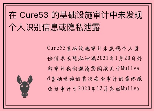 在 Cure53 的基础设施审计中未发现个人识别信息或隐私泄露 