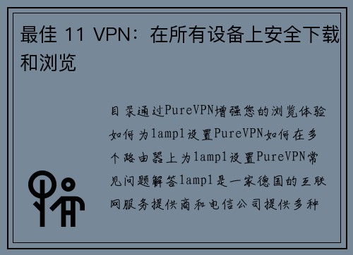 最佳 11 VPN：在所有设备上安全下载和浏览