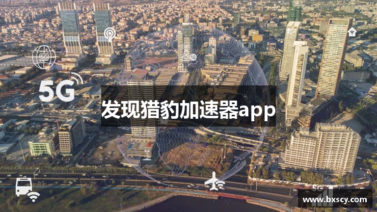 发现猎豹加速器app